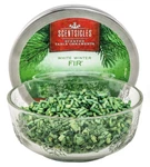 Scentsicles Scented Table Ornament Bowl, White Winter Fir. Fixed Price $19.95.