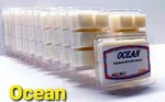 Ocean -bath & Body Works Candle Wax Melts- $6 Per Pack. Fixed Price $6.00.