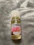 Bath And Body Works Slatkin Caribbean Escape Home Fragrance Oil Discontinued. Fixed Price $16.99.