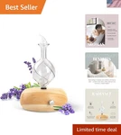 Light Radiance Nebulizing Diffuser: Pure Essential Oil & Aromatherapy Luxury. Fixed Price $172.99.