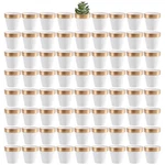 Mini Clay Pots 72 Pcs 2.5'' White & Gold Terracotta Ceramic - Perfect. Fixed Price $63.99.
