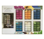 Sedona Botanica Plug-in Wax Warmer & 6 Packs Of Fragrant 48 Melts!. Fixed Price $50.00.