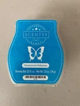 New Scentsy Honeymoon Hideaway Wax Bar 3.2 Fl Oz Home Fragrance. Fixed Price $11.11.