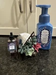 Bath Body Works Succulent Plant Wallflower Fragrance Plug In Holder With Bonus!. Fixed Price $21.99.