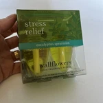 New Stress Relief Aromatherapy Wallflower Eucalyptus Spearmint Bath Body Works. Fixed Price $12.00.