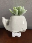 Bath & Body Works Wallflowers Fragrance Plug Scent Oil Diffuser Pick Any. Fixed Price $17.99.