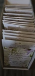 Nip Fragrance Sachet Passion Fruit Lot Of 14 (2 Packs). Fixed Price $20.00.