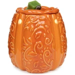 Scentsationals Swirly Pumpkin Wax Warmer Autumn Collection Aromatherapy Gift. Fixed Price $44.07.