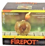 Firepot Hand Glazed Ceramic Bird Brain. Fixed Price $13.99.