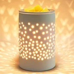 Bobolyn Ceramic Electric Melt Warmer Candle Waxing Burner Wax.... Fixed Price $24.86.
