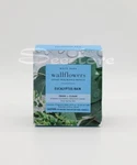 Bath & Body Works Eucalyptus Rain Wallflowers Fragrance Refill Bulbs 2 Pack. Fixed Price $15.90.