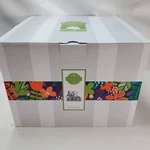 Nib Scentsy Wild Desert Wax Warmer Succulent Plants Glow Spa Full Size New. Fixed Price $49.95.