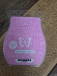 New Scentsy Wax Warmer Bar Strawberries & Cream. Fixed Price $8.00.