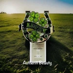 Irish Wallflower Nightlight Scent Control Plugin By Bath & Body Works Rare. Fixed Price $49.99.