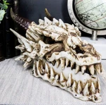 Ebros Smoking Nostrils And Eyes Skeleton Dragon Skull Incense Stick Burner Box. Fixed Price $47.99.