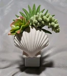 Bath & Body Works Succulent Wallflowers Diffuser Beach Ocean. Fixed Price $15.99.