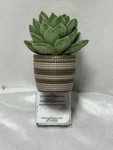 Bath & Body Works Wallflower Plug Succulent Potted Plant Diffuser Only No Scent. Fixed Price $24.99.