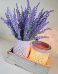 Lavender Bouquet Scentsy Warmer Side By In Rustic Wood Box. Fixed Price $50.00.