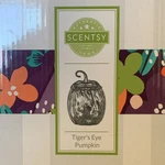 Scentsy Tiger's Eye Pumpkin Electric Oil/wax Warmer Glass Metal Brown Black. Fixed Price $65.00.
