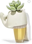 White Whale Succulent Wallflower Fragrance Plug. Fixed Price $14.01.
