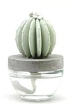 Barrel Cactus Pretty Valley Ceramic Fragrance Diffuser - Ocean Breeze. Fixed Price $27.95.