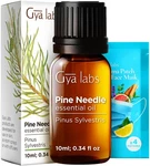 Gya Labs Pine Essential Oil 0.34 Fl Oz For Hair, Skin, Diffuser, Aromathera.... Fixed Price $10.69.