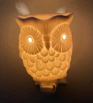 Scentsy Whoot Owl Ceramic Plug Candle Wax Warmer Discontinued Nightlight. Fixed Price $14.99.