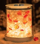 Charmer Scentsy Warmer Shade With Beach Glass And Hearts Retired. Fixed Price $29.99.