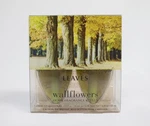 Bath & Body Works Wallflower Bulb Refills 2 Pack Leaves Nib. Fixed Price $15.29.
