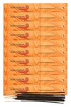 (10-PACK) Auroshikha Orange Blossom Incense Sticks. Fixed Price $24.95.