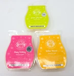 Scentsy Wax Bar Lot Of 3 Mellow Moment, Happy Birthday, Jumpin Jelly Bean 2.6. Fixed Price $21.95.