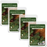 Scentsationals Scented Wax Fragrance Melts - Holiday Collection Cubes P.... Fixed Price $23.51.