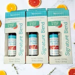 Sparoom Essential Oil Signature Blend Tranquil 10 Ml 3 Pack Calming Citrus Aroma. Fixed Price $11.99.