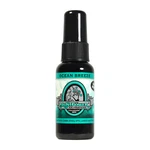 Blunt Power Oil Based Concentrated Air Freshener, Ocean Breeze, 1.5 Oz. Fixed Price $10.39.