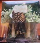 Bath And Body Works Wallflowers Lot Of 2 Bulbs Evergreen Fragrance Refills. Fixed Price $10.96.