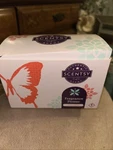 Authentic Scentsy Fragrance Flower Mango 57439. Fixed Price $19.99.
