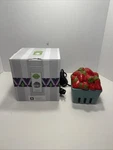 Scentsy Strawberry Basket Wax Melt Element Warmer Retired Original Box. Fixed Price $49.95.