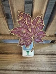 Bath & Body Works Fall Scent Control Light Up Maple Leaf Wallflower Plug In New. Fixed Price $15.45.