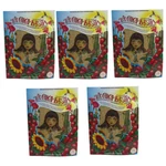 Eivy's Mexico La Chica Fresita Air Freshener - Strawberry, 5 Pack Oem. Fixed Price $14.95.