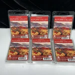 Lot Of 6--SCENTSATIONALS Autumn VALLEY-2.5OZ Scented Wax Cubes. Fixed Price $29.99.