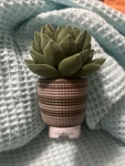 Bath & Body Work Succulent Planter Wallflower Fragrance Light Up 24/7 Plug In. Fixed Price $24.99.