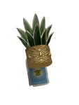 Bath & Body Work Plant In Gold Pot Light Up 24/7 Wallflower Plug New. Fixed Price $19.99.