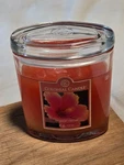 Colonial Candle Tropical Nectar Scented Wick 9 Oz Oval Jar 2011 New. Fixed Price $26.99.