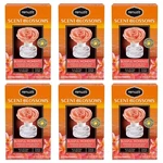 6 Renuzit Scent Blossoms Fragrance Diffuser Blissful Moments Air Freshener. Fixed Price $120.00.