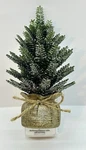 Bath & Body Works Cozy Potted Pine Tree Wallflowers Home Fragrance Plug. Fixed Price $14.99.