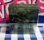 Bath & Body Works 2 Pack Wallflower Plug Refills New Evergreen (X/0976). Fixed Price $10.50.