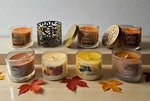Bath Body Works Slatkin Co Yankee Candle Pumpkin Mini Fall Autumn Lot & Holder. Fixed Price $29.95.