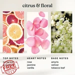 Homedics Serenescent Enchantment Diffuser Oil Refill 120ML Waterless Plug. Fixed Price $72.99.