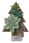 Bath Body Works Succulent Christmas Tree Wallflower Plug In Wooden Holiday. Fixed Price $23.99.