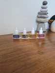 Homeworx Harry Slatkin Co Scent Diffuser Oils Set Of 4 Holiday Mix Birch. Fixed Price $39.00.